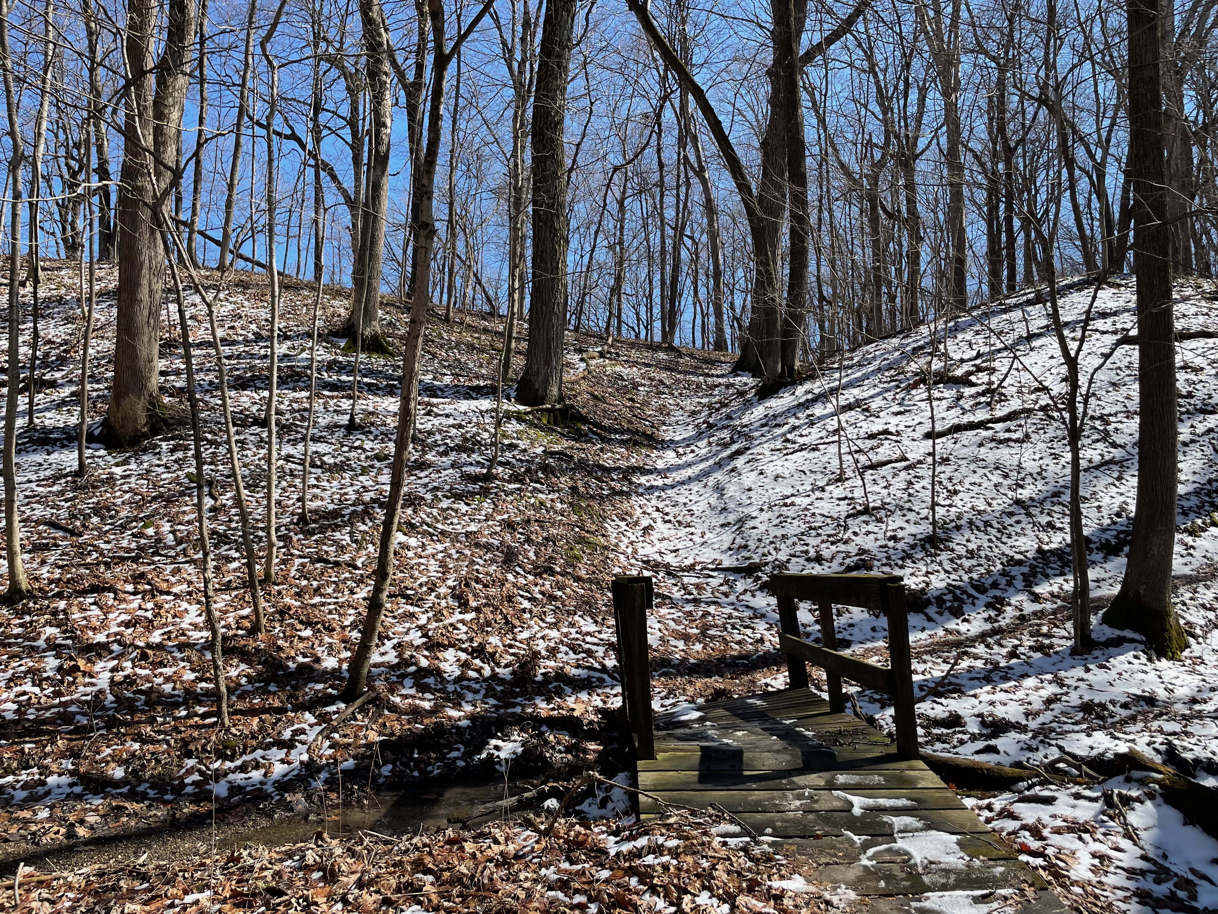 Photo of one of the many small wooden bridges along the North Fork Trail. There is snow on the ground and many small, thin trees. Main colors are brown, white, and blue sky in the background. 