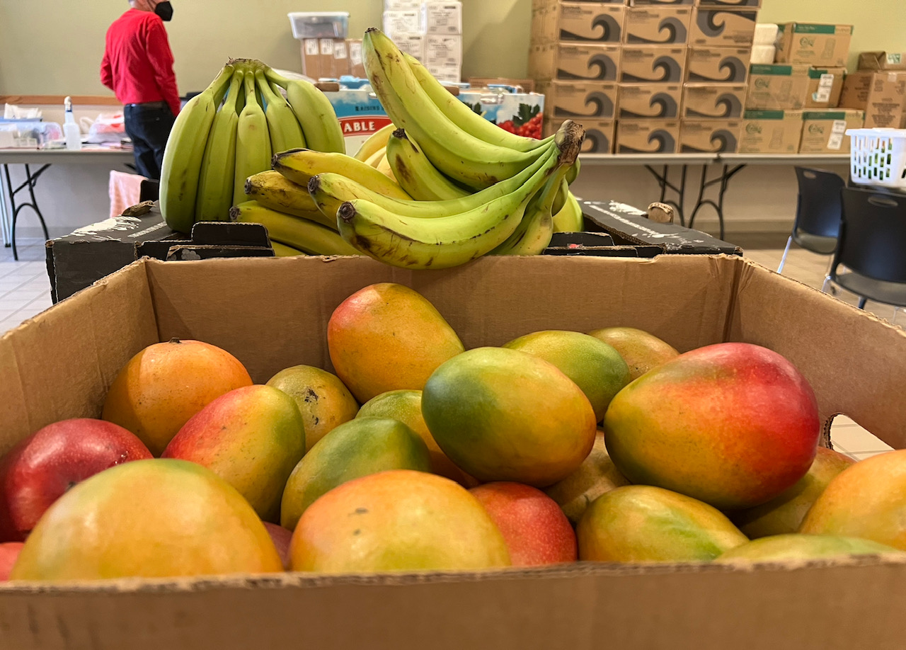 In a cardboard box, there are lots of mangoes. Behind it, there is a box of banana bunches. Photo by Alyssa Buckley.
