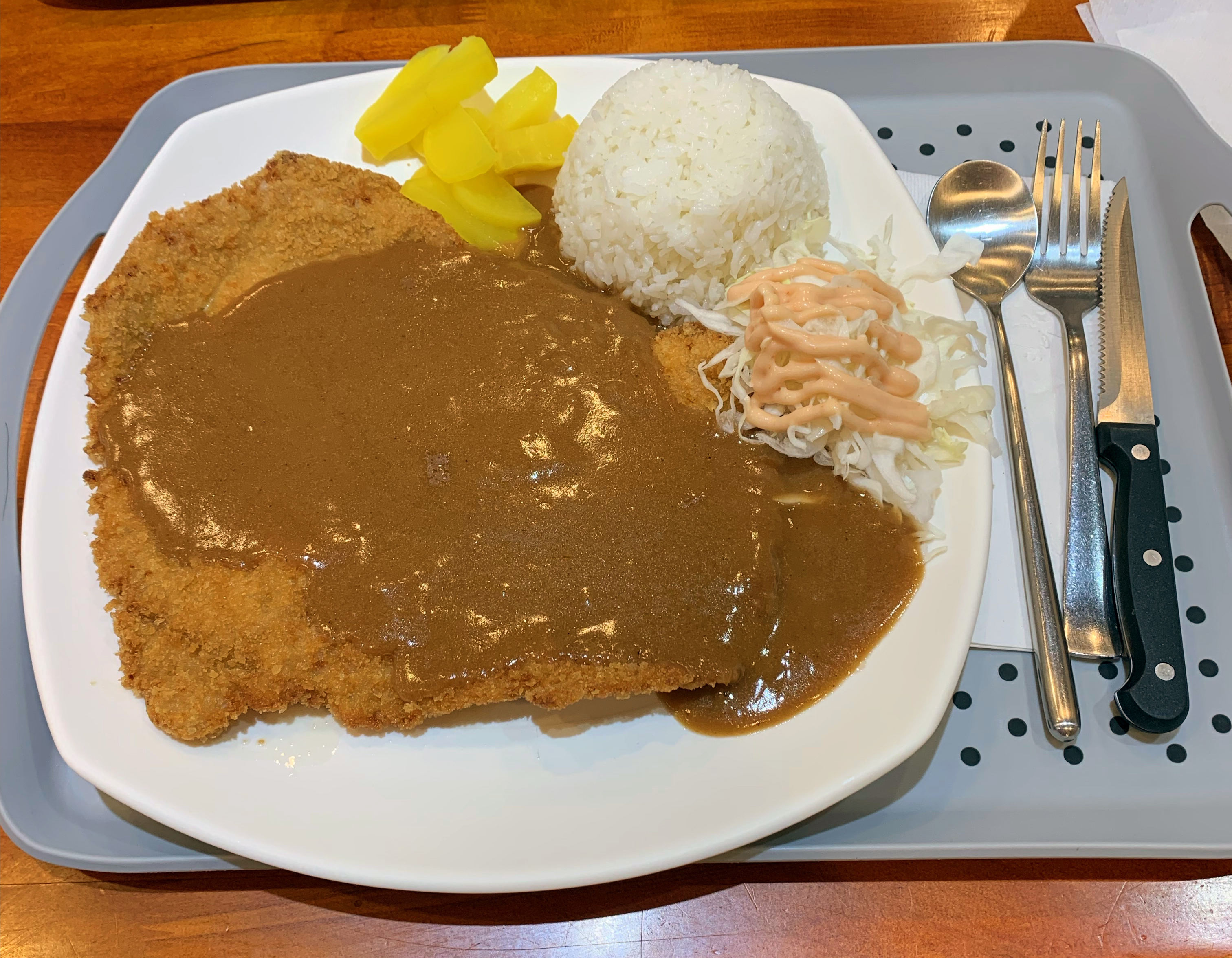Ton Katsu entree at Bab Plus Restaurant, Urbana. A large pork cutlet covered in a brown gravy is served on a large white plate with rice and a cabbage salad. The plate is on a cafeteria tray. Photo by Jessica Hammie. 