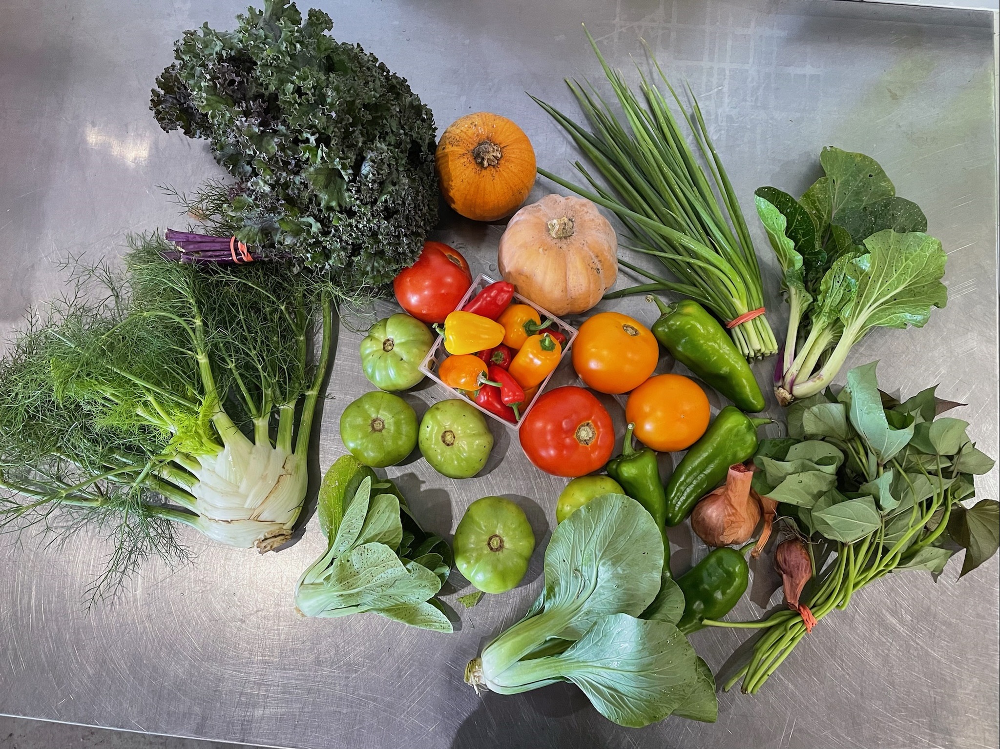 An overhead photo shows a variety of produce from Sola Gratia Farm's CSA. Photo from Sola Gratia's website. 