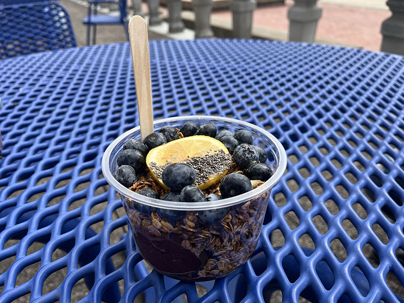 A clear plastic bowl sits on a blue mesh picnic table. Layers of chia seed pudding and granola fill the bottom of the bowl. Blueberries and a round slice of lemon â€” half dipped in chia seeds â€” are visible on top. A wooden spoon sticks out to the side. Photo by Julia Freeman.