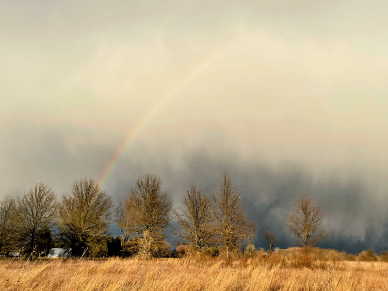 Low hanging rain clouds over a field of long grasses with a row of bare trees in the background. A half rainbow stretches from the clouds to the ground. Photo by Andrew Pritchard.