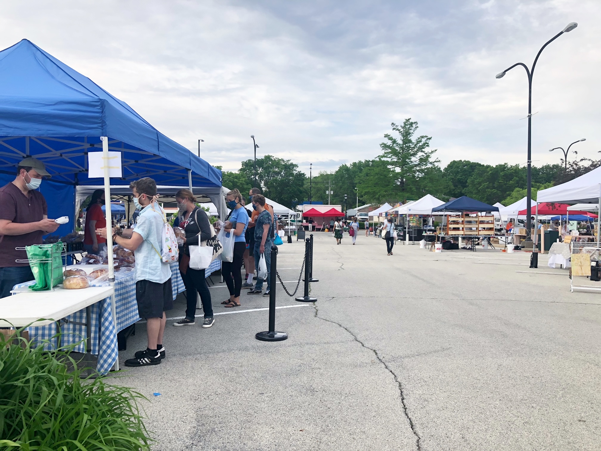 In the parking lot at the Lincoln Square Mall, the Urbana Market at the Square is open for outdoor shopping. A blue tent selling baked goods has a line of masked white shoppers in front of a blue and white checkered tableclothed table. Photo by Alyssa Buckley.