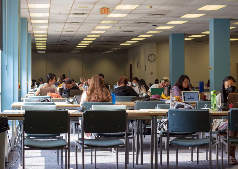 Students are sitting at rows of tables in a room with a drop ceiling and fluorescent lights. Photo by Jorge Murga. 