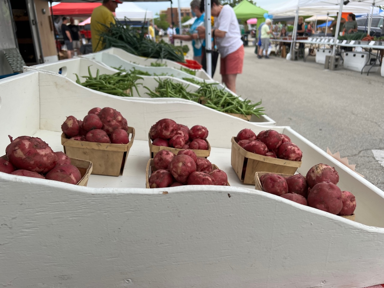 At the market, there are white shelves with a few baskets of potatoes and green beans. In the background, shoppers shop the Urbana Market at the Square. Photo by Alyssa Buckley.