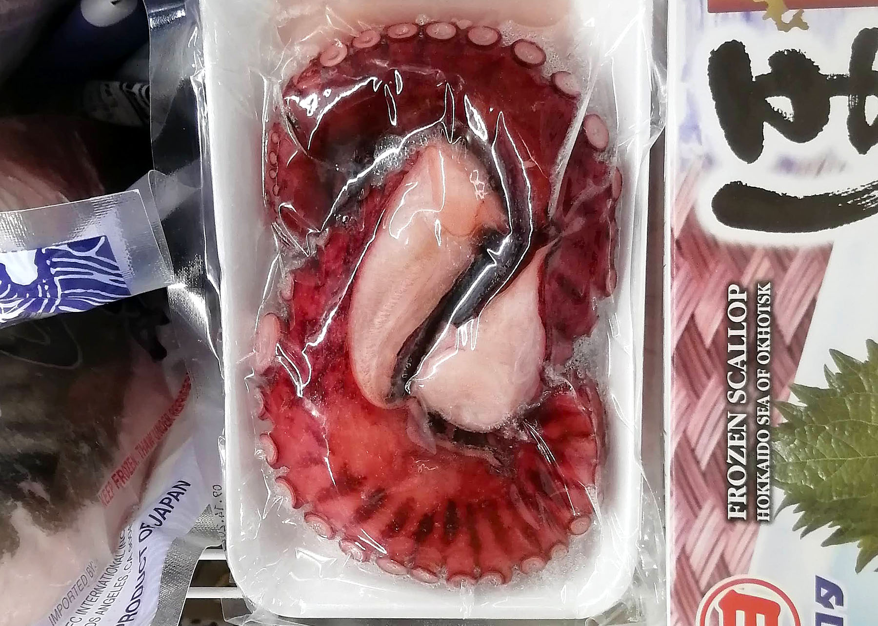 A package of frozen octopus legs in the freezer section of a grocery store nested between two other packages. Photo by Paul Young.