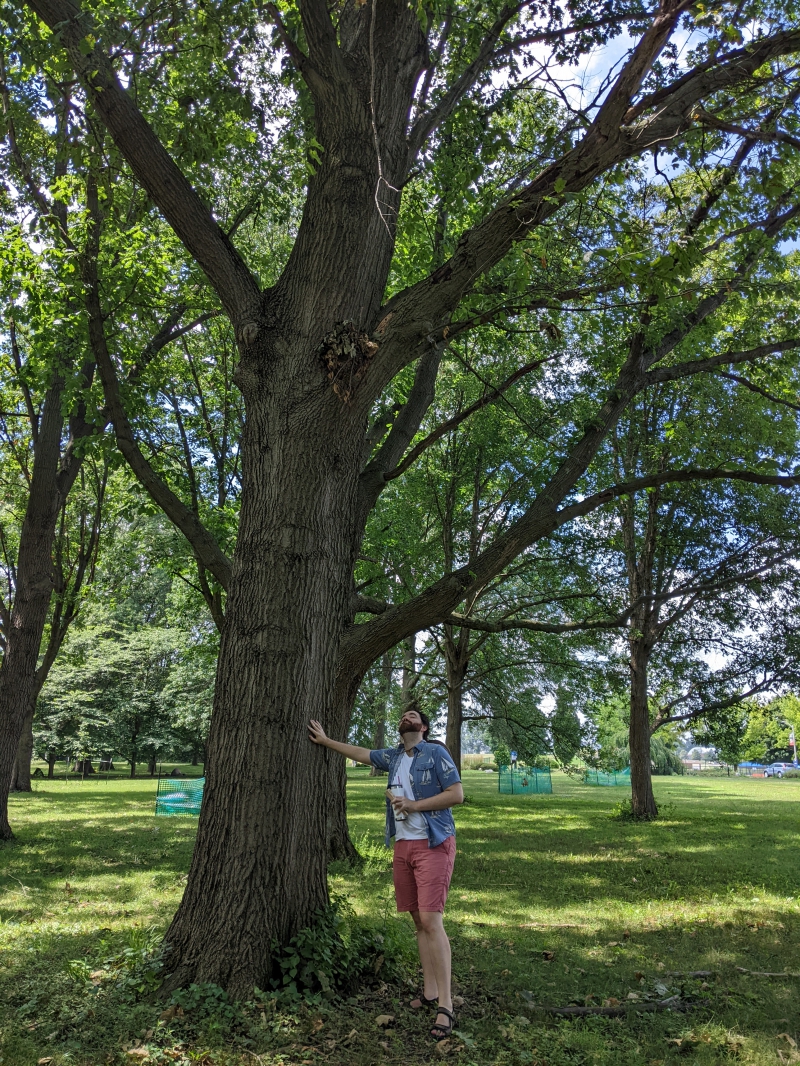 A man in a beige hat, white t-shirt, blue collared shirt, and red shorts is standing next to a large tree holding a water bottle. He is resting his hand on the tree and looking up. Photo by Andrea Black. 