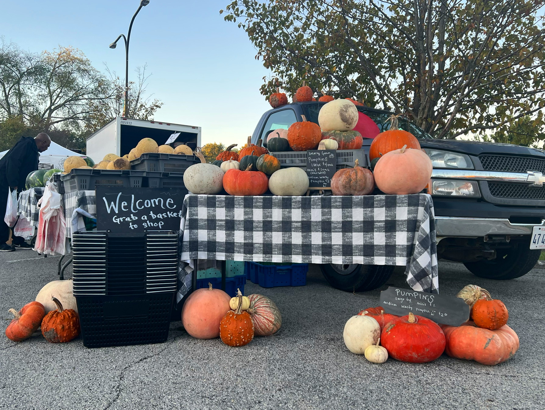 At the Urbana Market at the Square, Meyer Produce has a pumpkin table and pumpkins for sale on the parking lot ground. Photo by Alyssa Buckley.