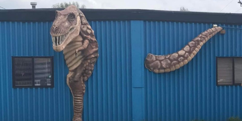 The head and front body and tail of a t-rex replica is emerging from the side of a blue corrugated wall. Photo from Spotted in Chambana.