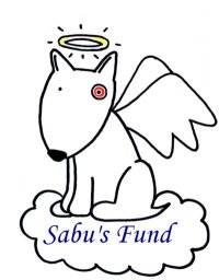 Laura Voitik and Sabu’s Fund at Indi Go