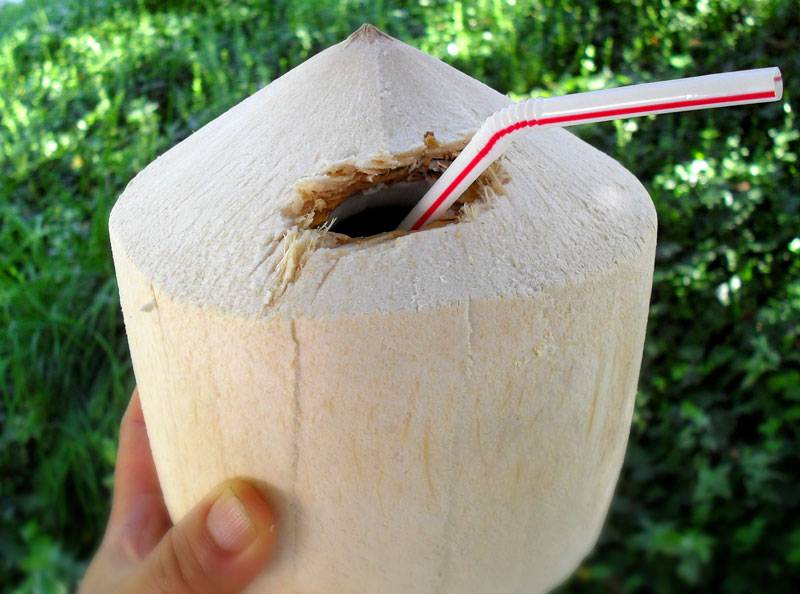 Put de straw in de coconut and drink it all up