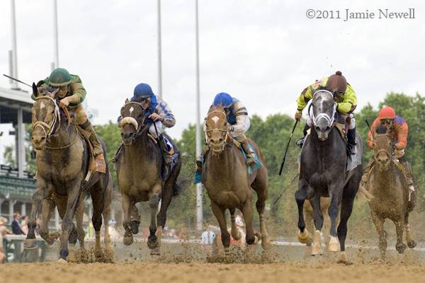 Saratoga’s Whitney whips out a great field