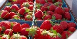 Market: Strawberry Edition