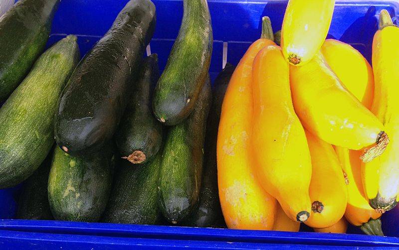 Three recipes for your summer zucchini