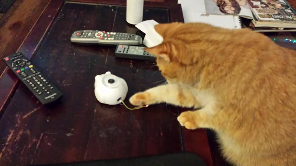 U of I cat lovers developing robotic mouse, Mousr