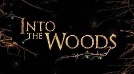 A different take on Into the Woods
