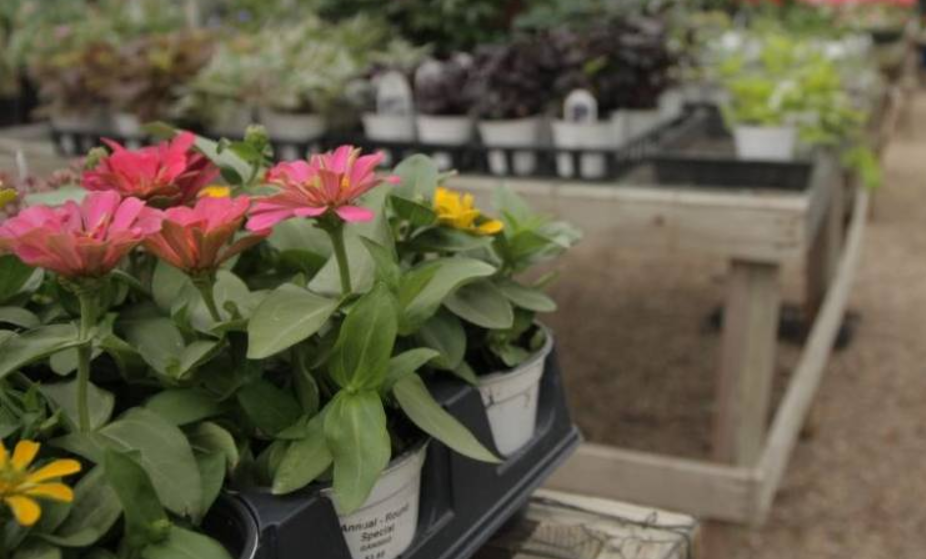 Allerton Park’s plant sale taking place May 6-7