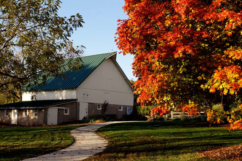 Urbana Park District receives $75,000 gift for Meadowbrook Park entrance, new sculptures