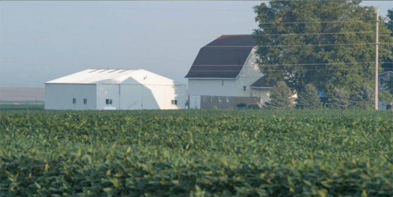 Join The Midwest Center for Investigative Reporting for a conversation about dicamba