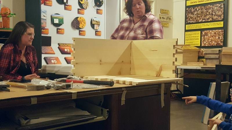 Building bee hive boxes at the Pollinatarium