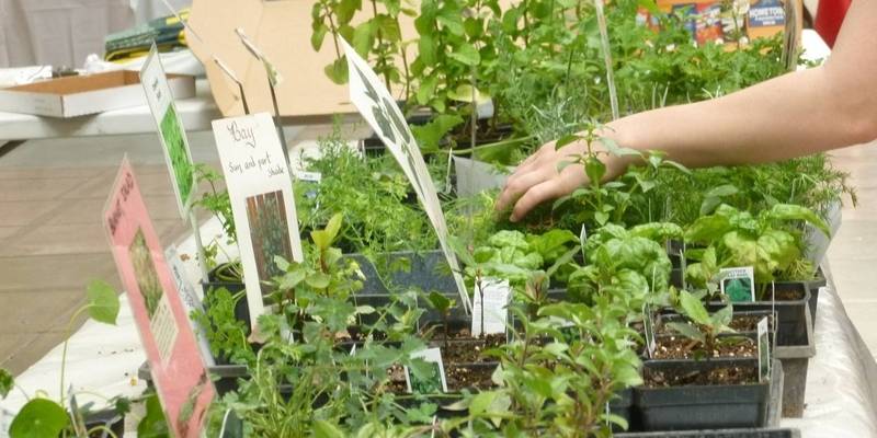 The 2018 C-U Herb Society plant sale is taking place May 12th