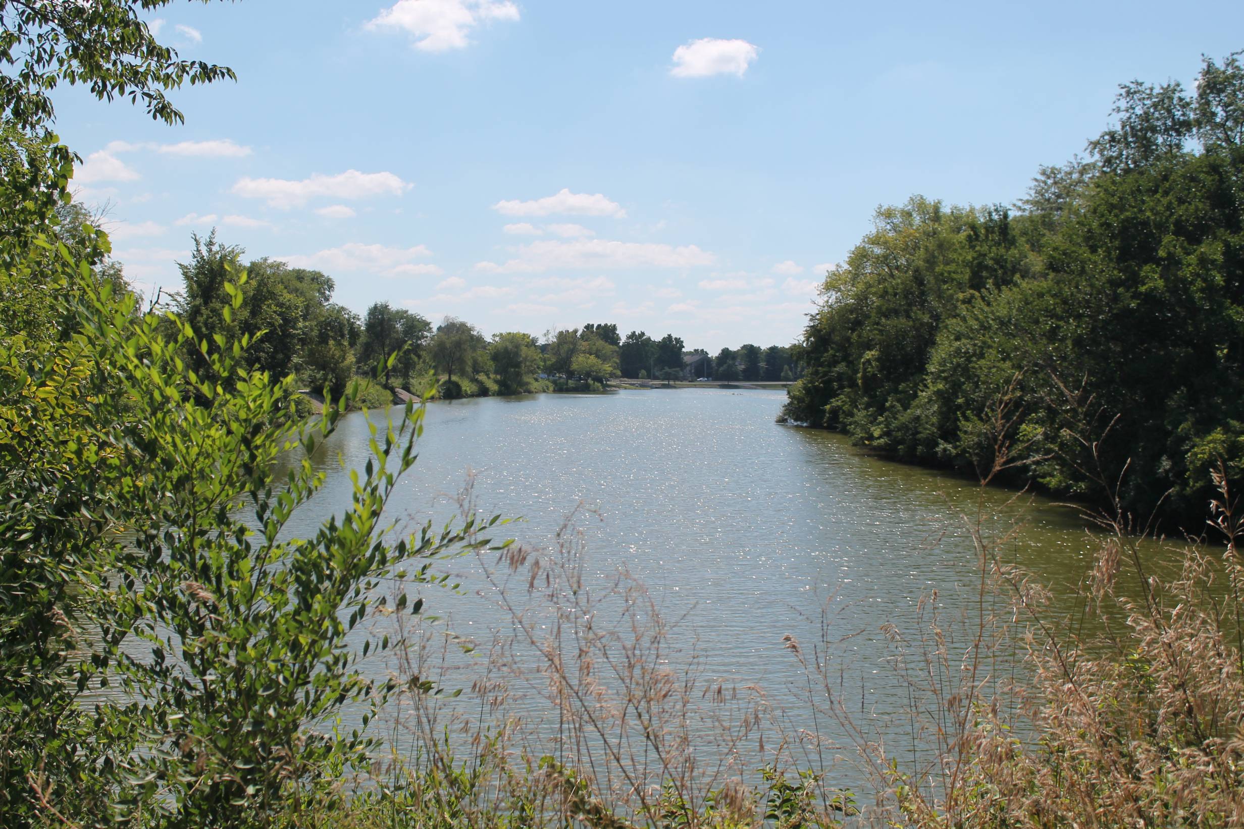 Year of the Park, A to Z: Kaufman Lake, Champaign
