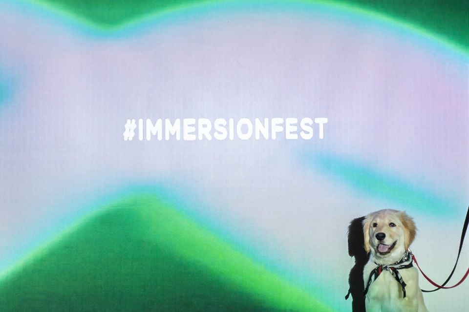 Immersion Festival announces 2021 return