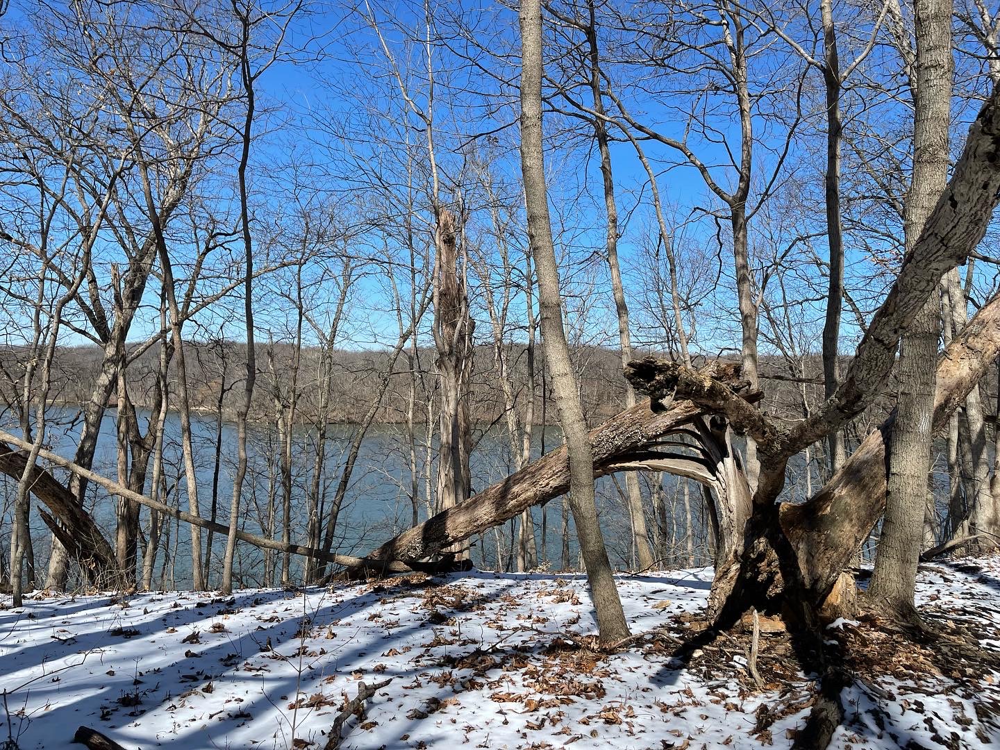 Walkin’ in the Woods: North Fork Trail Clinton Lake