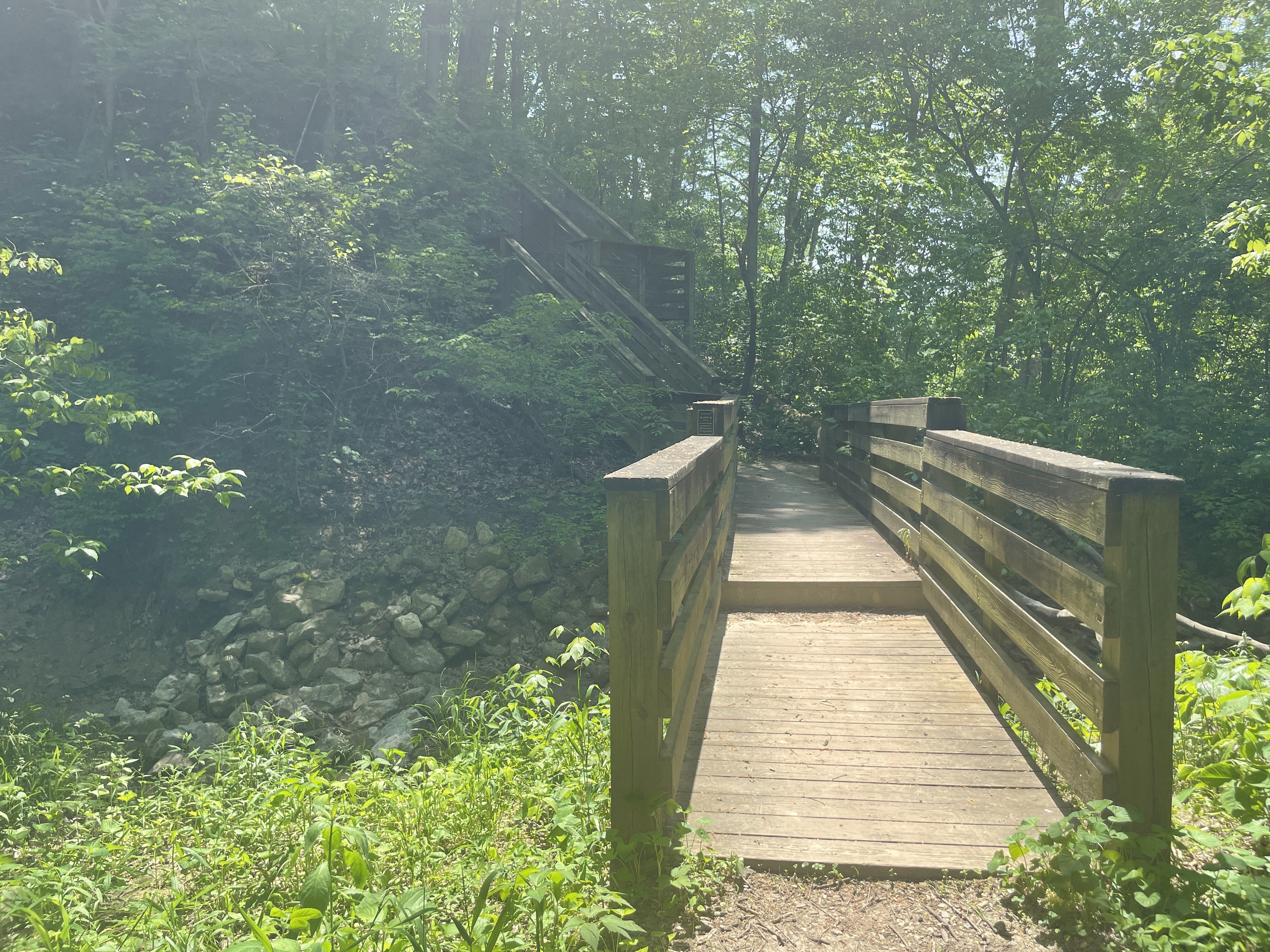 Walkin’ in the Woods: Fox Ridge State Park Loop Trail