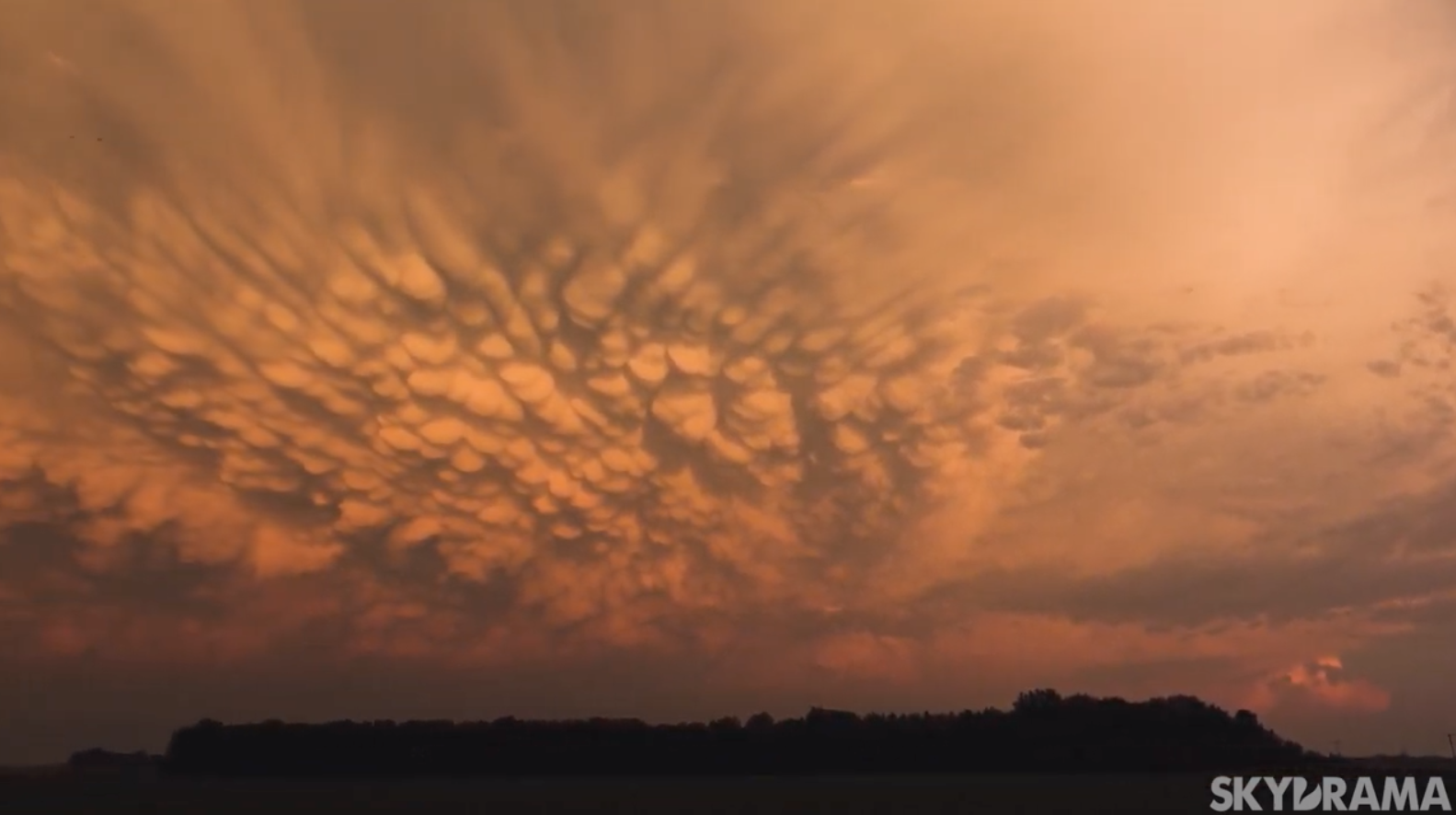 These mammatus clouds are incredible