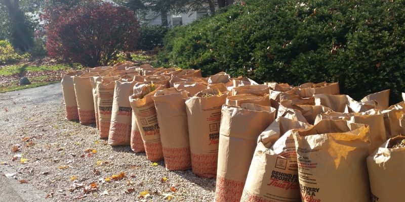 Mark your calendars for Champaign’s Fall Yard Waste collection