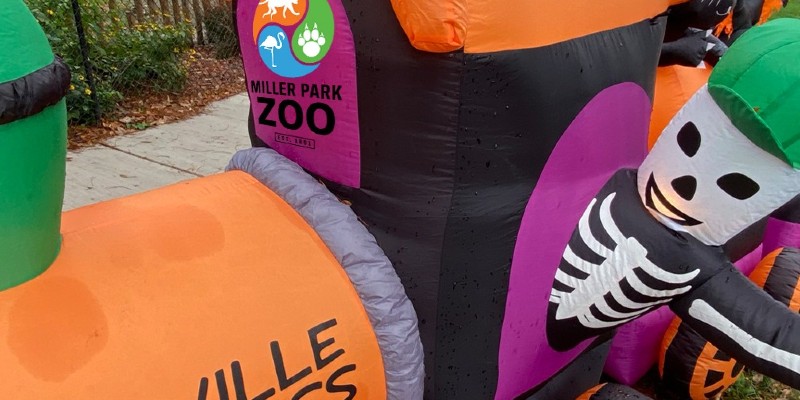 Miller Park Zoo is celebrating Halloween this weekend