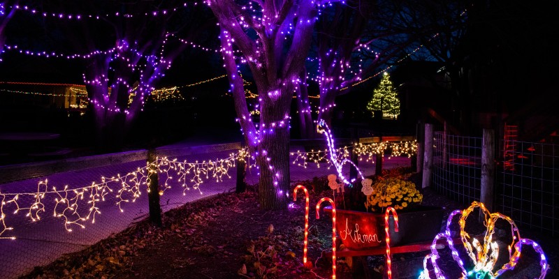 There’s one more Saturday to see the lights at Aikman Wildlife Adventure
